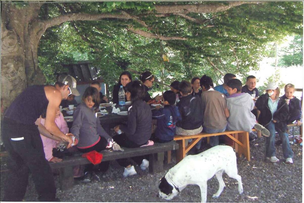 Repas sous le fayard