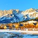Le Noyer sous la neige